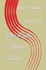 One light many for sale  Delivered anywhere in USA 