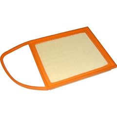 Filtro aria citroen usato  Spedito ovunque in Italia 