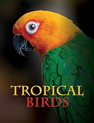 Tropical birds for sale  Delivered anywhere in UK