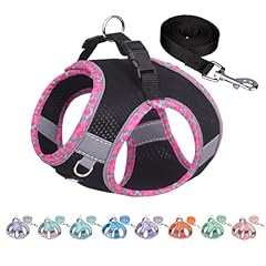 Aiitle tiny dog for sale  Delivered anywhere in USA 