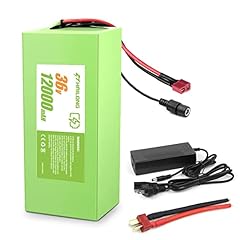 Hailong ebike battery for sale  Delivered anywhere in USA 