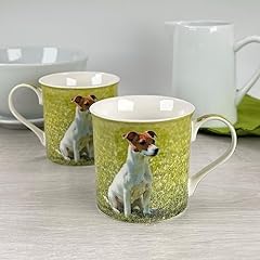 Dog jack russell for sale  Delivered anywhere in UK