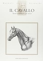 Cavallo. tavole anatomiche usato  Spedito ovunque in Italia 