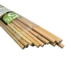 Mininfa natural bamboo for sale  Delivered anywhere in UK