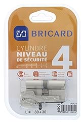 Bricard 15901 cylindre d'occasion  Livré partout en France