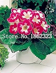 100 pcs bag for sale  Delivered anywhere in UK