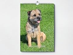 Border terrier calendar for sale  Delivered anywhere in Ireland