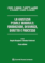 Giustizia penale minorile usato  Spedito ovunque in Italia 
