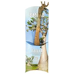 Baobab baum monate gebraucht kaufen  Wird an jeden Ort in Deutschland