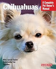 Chihuahuas d'occasion  Livré partout en France
