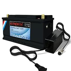 12v lifepo4 battery for sale  Delivered anywhere in USA 