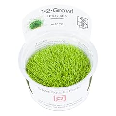 Tropica grow utricularia d'occasion  Livré partout en France