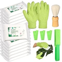 Dansib pcs plants for sale  Delivered anywhere in USA 