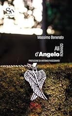 Ali angelo usato  Spedito ovunque in Italia 