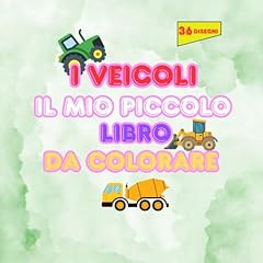 Veicoli mio piccolo usato  Spedito ovunque in Italia 