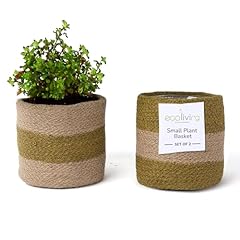 Eco living jute for sale  Delivered anywhere in USA 