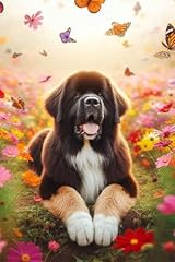 Newfoundland dog field for sale  Delivered anywhere in UK