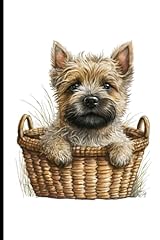 Cute cairn terrier for sale  Delivered anywhere in UK