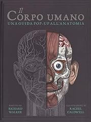 Corpo umano. una usato  Spedito ovunque in Italia 