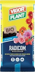 Radicom 10 usato  Spedito ovunque in Italia 