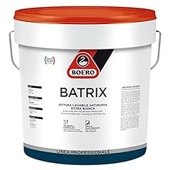 Pittura batrix lt. usato  Spedito ovunque in Italia 