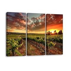 Piece canvas wall for sale  Delivered anywhere in USA 