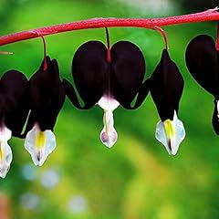 Yegaol garden 10pcs for sale  Delivered anywhere in USA 