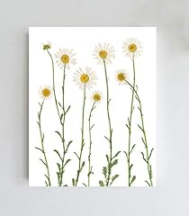 Pressed daisies botanical for sale  Delivered anywhere in USA 