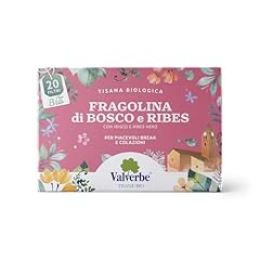 Valverbe tisane fragolina usato  Spedito ovunque in Italia 
