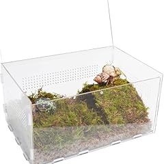 Begeterday hermit crab for sale  Delivered anywhere in USA 