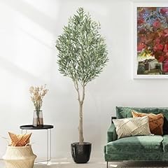 arbre olivier d'occasion  Livré partout en France