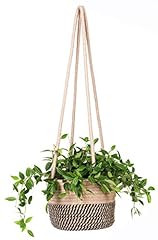 Ruizhixuan hanging planter for sale  Delivered anywhere in USA 