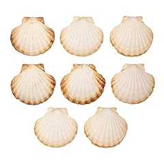 Finoly coquilles saint d'occasion  Livré partout en France