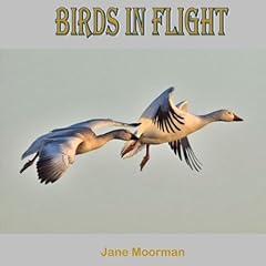 Birds flight for sale  Delivered anywhere in USA 