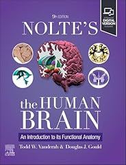 Nolte human brain for sale  Delivered anywhere in UK