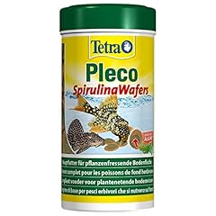 Tetra pleco multi d'occasion  Livré partout en France
