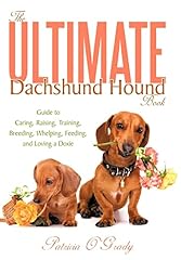 Ultimate dachshund hound for sale  Delivered anywhere in USA 