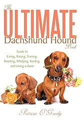 Ultimate dachshund hound for sale  Delivered anywhere in USA 