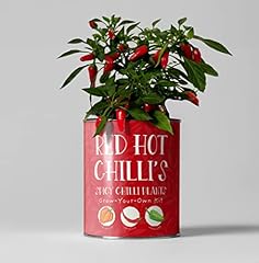 Chilli plant luxury for sale  Delivered anywhere in UK