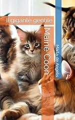Maine coon gigante usato  Spedito ovunque in Italia 