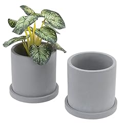 Mygift cement planter for sale  Delivered anywhere in USA 