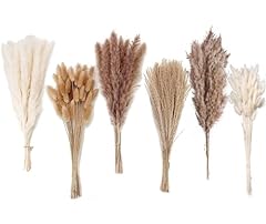 Dried pampas grass for sale  Delivered anywhere in Ireland