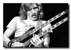 Joe walsh poster for sale  Delivered anywhere in USA 