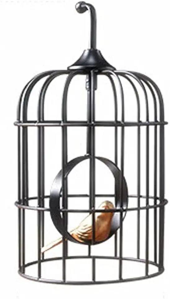 Vogelkooi Retro Creative Smeedijzeren vogelkooi met handvatten, koepels, vogelkooien kunnen binnenshuis en buitenshuis worden gebruikt Voor Vogels Woondecoraties Feestaccessoires (Size : A) tweedehands  