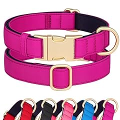 Didog hundehalsband nylon gebraucht kaufen  Wird an jeden Ort in Deutschland