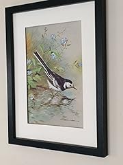 Mounted framed pied for sale  Delivered anywhere in UK