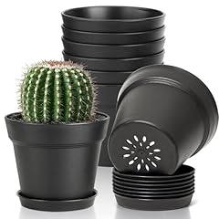 T4u inch plant for sale  Delivered anywhere in USA 