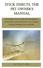 Stick insects pet for sale  Delivered anywhere in UK