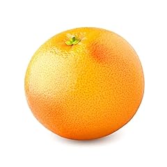 Amazon grapefruit single for sale  Delivered anywhere in UK