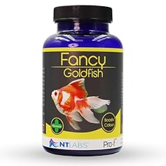 Labs pro fancy for sale  Delivered anywhere in UK